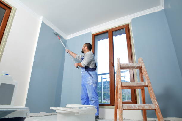 Best Exterior Painting  in Prospect Heights, IL