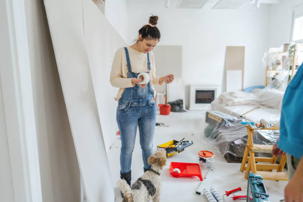 Best Ceiling Drywall Installation  in Prospect Heights, IL