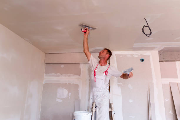 Best Eco-Friendly and Low-VOC Painting  in Prospect Heights, IL